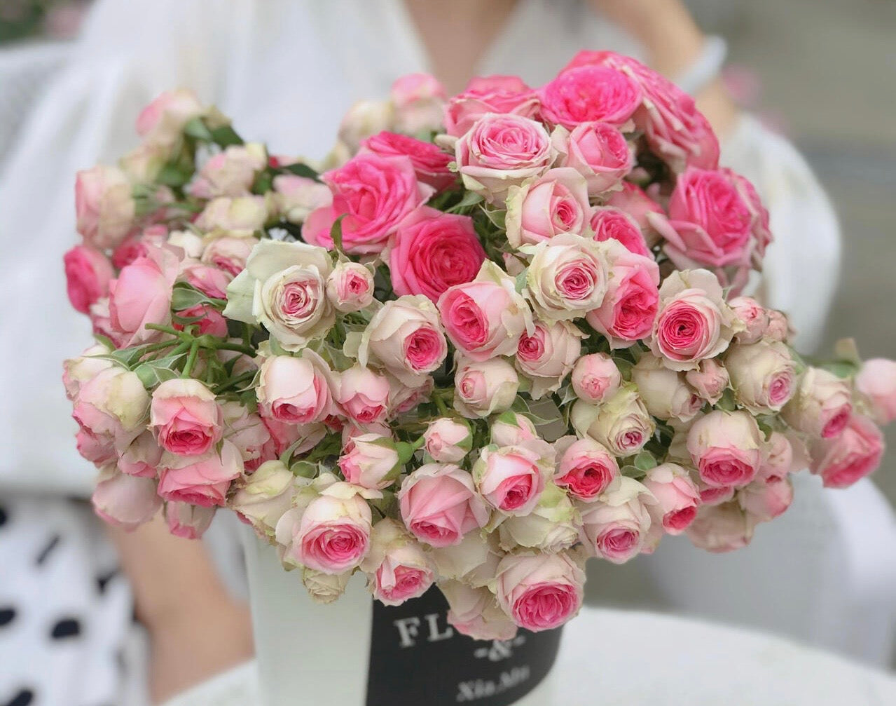 Prolific Rose【Super Sensation】- 2 Gal OwnRoot LivePlant|粉多头/ 超感|Cute Pink Blossom Thicket