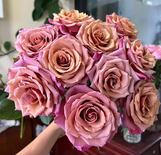 Rose【Barista】- 调香师| New Variety Coffee Rosa | New Variety| Extended vase life| Rich Hues| Redolent| Cup-shaped Cut Flower| Beginner-Friendly