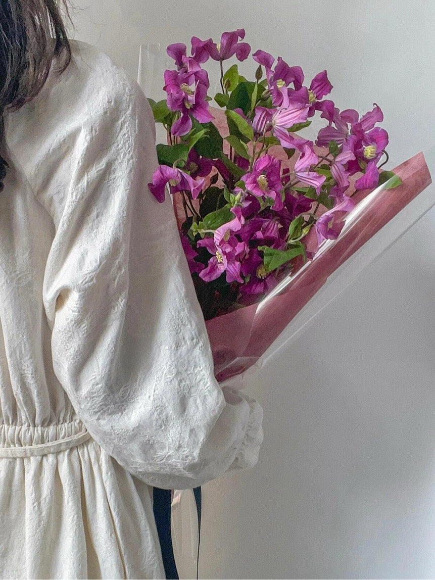 Clematis【Inspiration】-9P LivePlant|灵感|Dutch Cut Flower Clematis