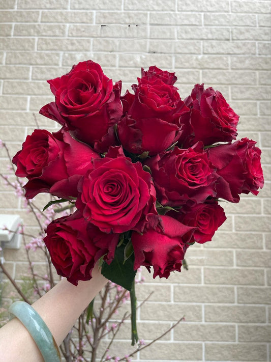 Rose【Rhodos】-OwnRoot LivePlant |Love|罗德斯| Extended Vase Life| Less Thorns| One of the most Long-Lasting Velvet Red Rose| Cut Flower