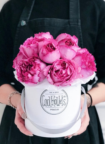 Rosa 【Yves Piaget|イヴピアッチェ】 - 2Gal OwnRoot LivePlants| Redolent| Peony Bloom| Ruffle lace| Less Thorns | Classic Yves |伊芙伯爵| Retro Fuchsia