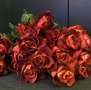 Rose【Coffee Break| コーヒーブレイク 】 -1 Gal OwnRoot| Specialty Florists Rose | Advanced,Vintage Color|Mild fragrance| 咖啡时间| 休憩/咖啡突破