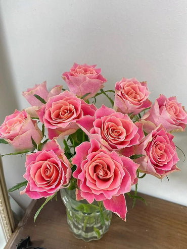 Rose【Japanese Tale| 大和物语| Nirpjata】 -OwnRoot LivePlant |Heat Toleran|Less Thorns| Vintage colour| Strong Disease Resistance| 日本故事 |Strong Adaptability