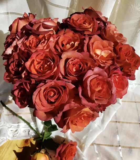 Rose【Coffee Break| コーヒーブレイク 】 -1 Gal OwnRoot| Specialty Florists Rose | Advanced,Vintage Color|Mild fragrance| 咖啡时间| 休憩/咖啡突破