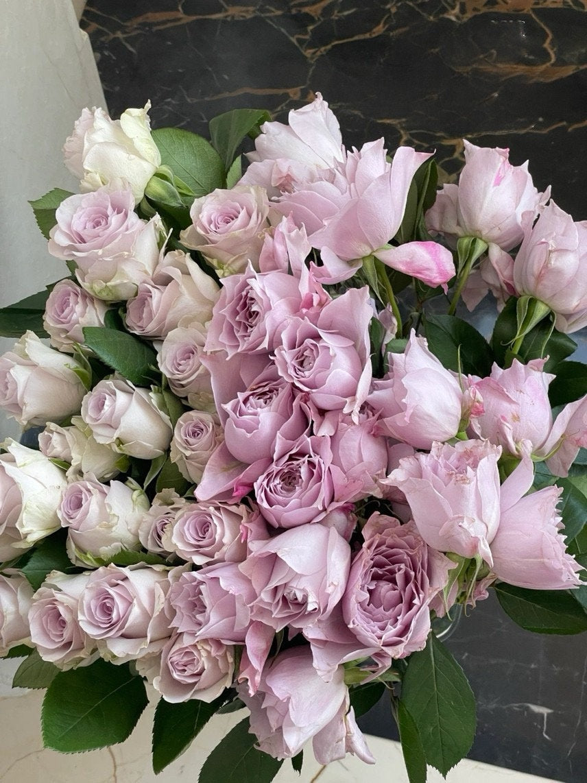 Rose【Dreamy Violet|幻紫】-1Gal OwnRoot| Rare New Variety -2021 | Lotus Pink| Heat Resistant| Purple Rose| Lotus Pink| Abundant Blooming| 天狼