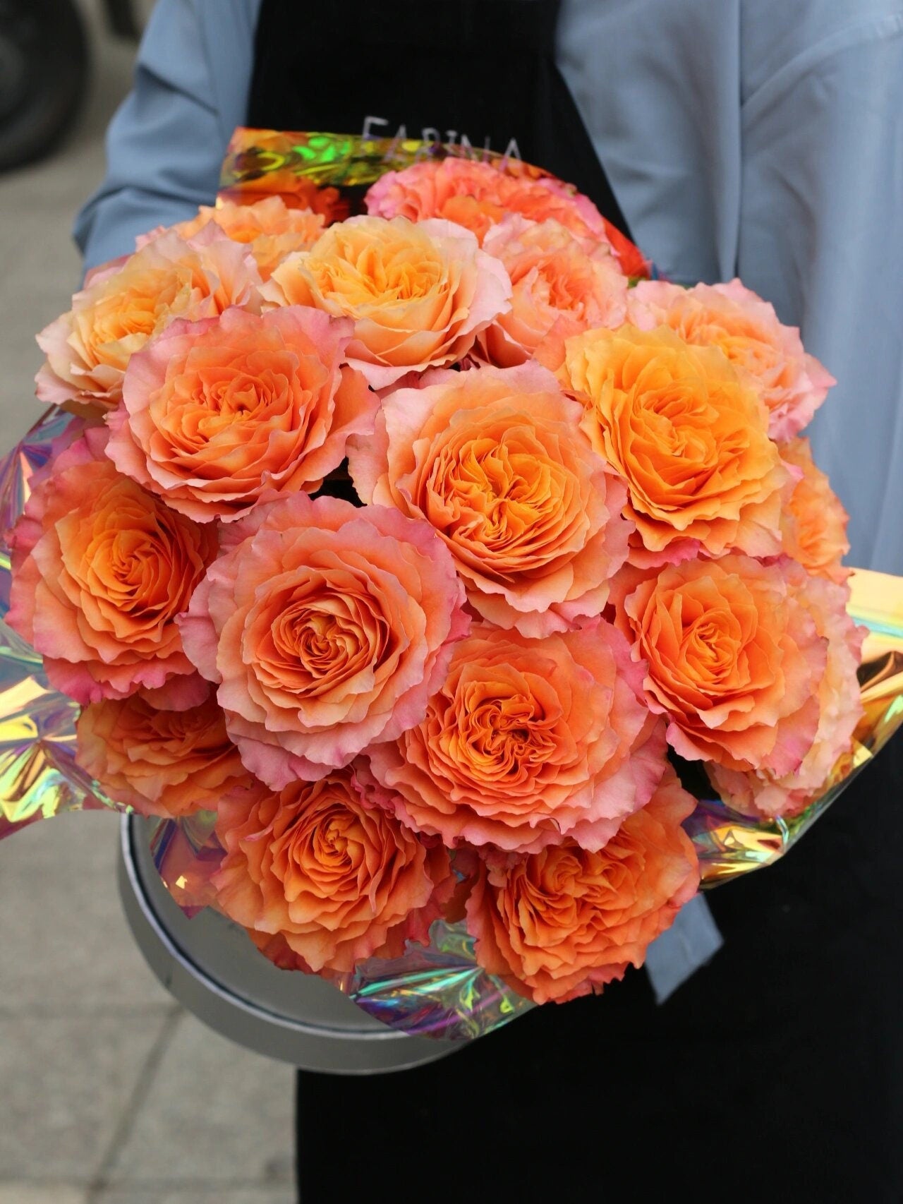 Rose【Free Spirit| 自由な精霊】-2 Gal Own Root Live Plant|Redolent| Popular Florists Rose| 自由精灵| 火灵鸟| Trendy variety| Vivid Color|Long flowering