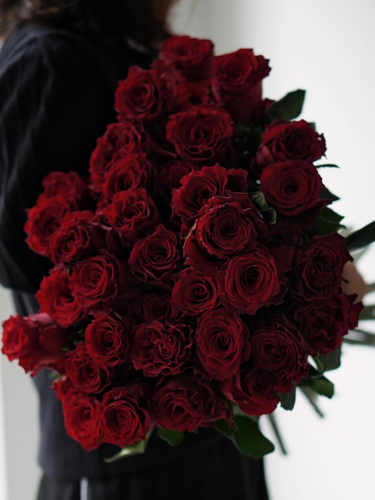 Rose【Rhodos】-OwnRoot LivePlant |Love｜罗德斯| Extended Vase Life| Less Thorns| One of the most Long-Lasting Velvet Red Rose| Cut Flower