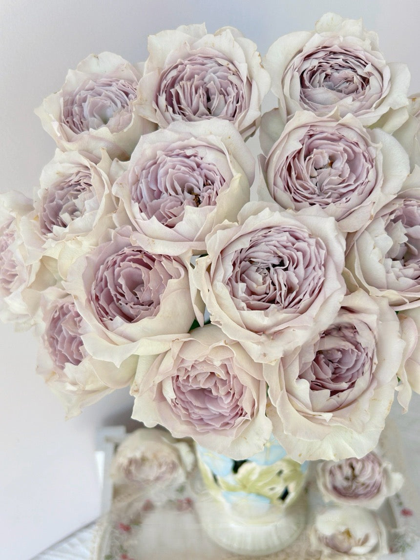 Rose【Milky Pearl｜ミルキーパール】- Japan New Variety 2021｜珍珠奶茶｜Extended vase life| 牛奶珍珠| Redolent| Florists Rose| Wavy Lace