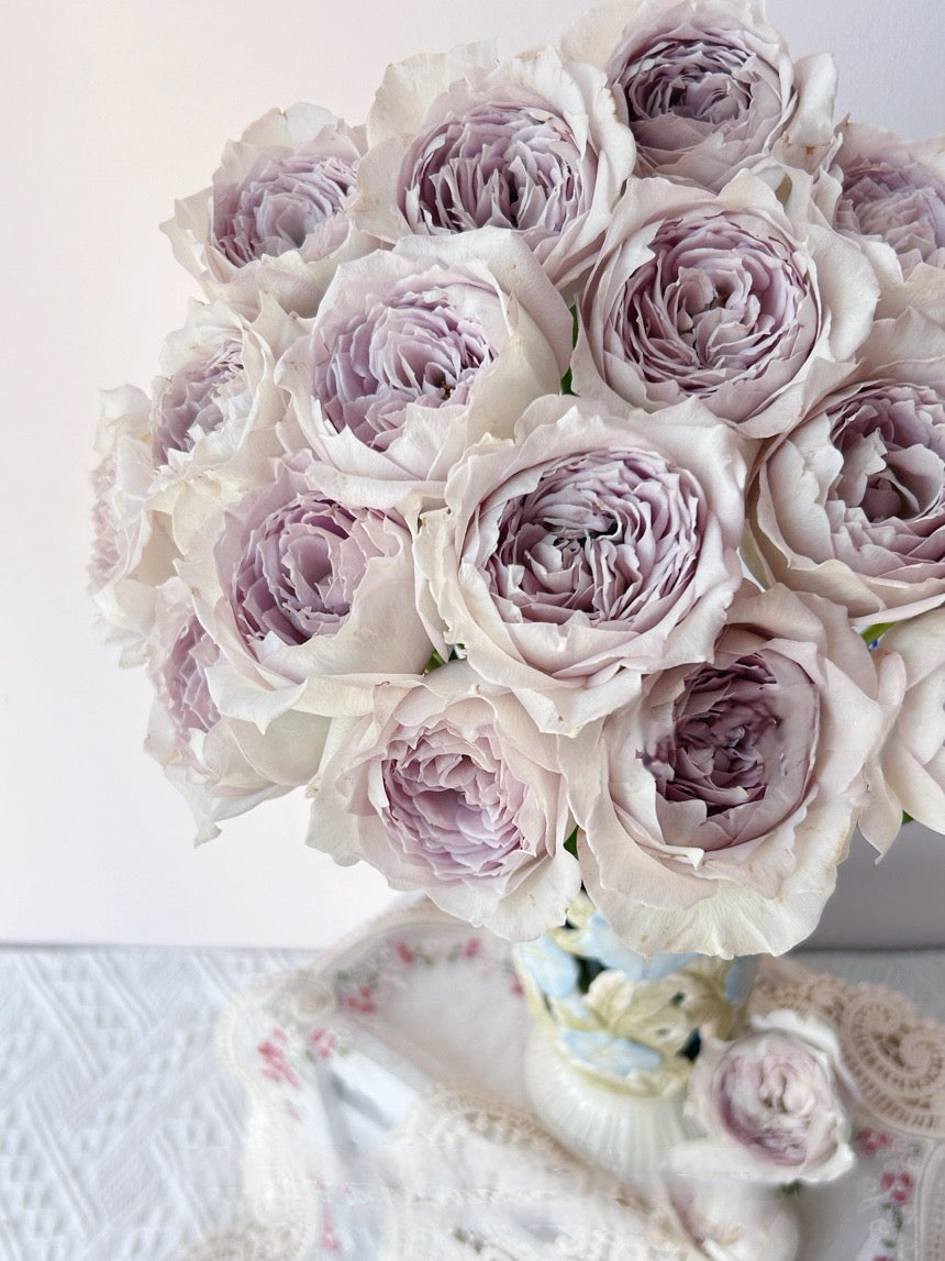 Rose【Milky Pearl｜ミルキーパール】- Japan New Variety 2021｜珍珠奶茶｜Extended vase life| 牛奶珍珠| Redolent| Florists Rose| Wavy Lace