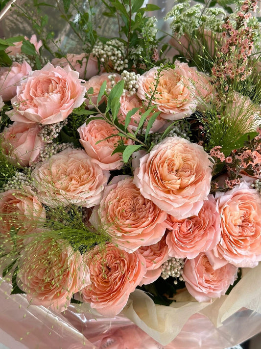 Rose【Julieta|ジュリエッタ バラ】- 1.5 Gal OwnRoot 朱丽叶塔| Delbard| Sun Tolerant| Excellent Resistance| Pearlescent Blossoms| Florists Rose|