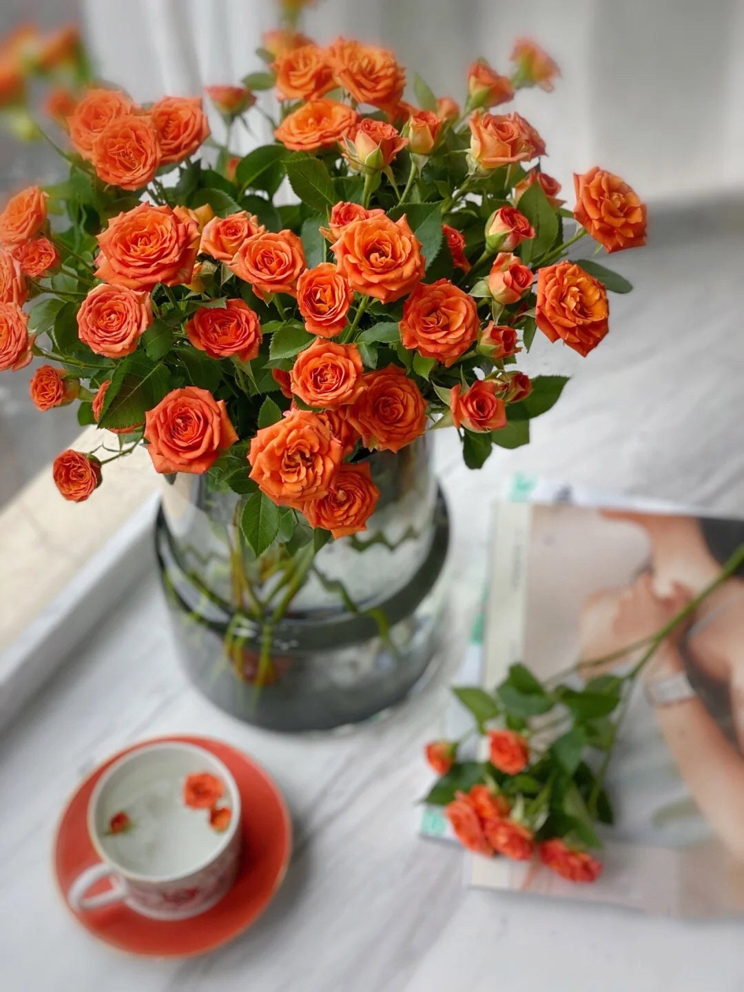 Rose【Orange Jewel】- 2 Gal Own Root LivePlant| Orange Barbie| Extended vase life| Easy to Grow |橙色芭比| Abundant Flowering | 橙色宝石